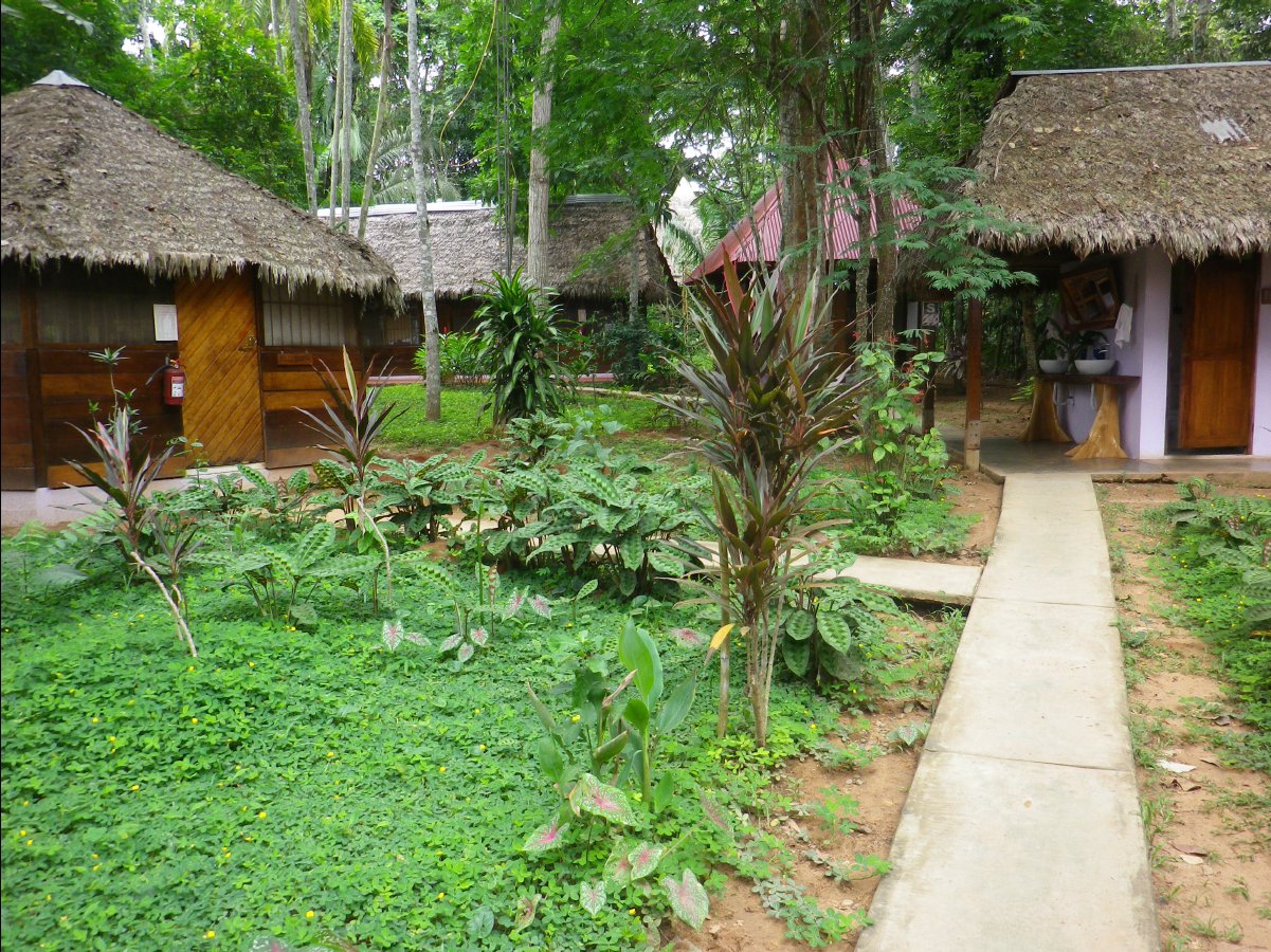 Amazon - Peru37